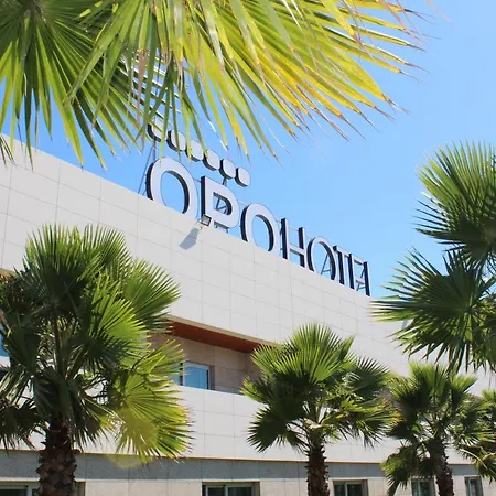 Opohotel Porto Aeroporto 4*