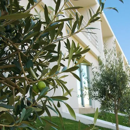 Ap Aeroporto Porto 4* Maía