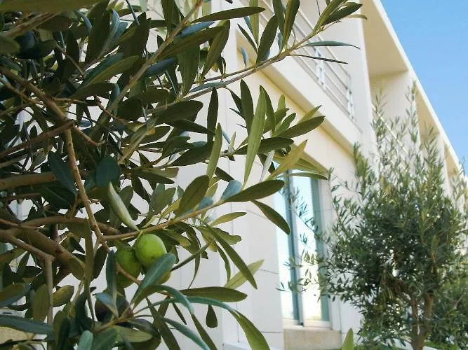 Ap Aeroporto Porto 4* Maía